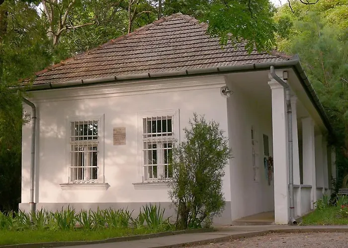 公寓 Barnapartman *